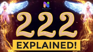 222 Angel Number  REWARDS are Coming YOUR WAY  Spiritual Message Explained [upl. by Edmanda]