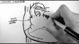 Coronary Circulation [upl. by Frohman]