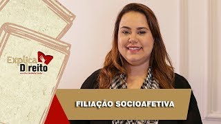 Explica Direito Filiação Socioafetiva  2019 [upl. by Lovel]