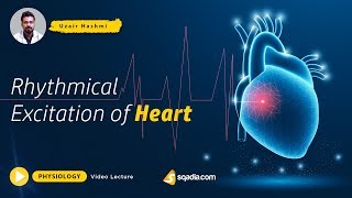 Cardiovascular  Structures and Layers of the Heart [upl. by Accebar]