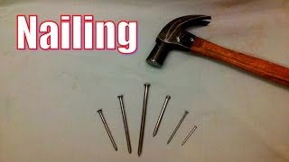 Hammering Nails Effectively [upl. by Levon]