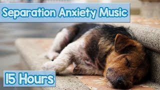 15 HOURS of Deep Separation Anxiety Music for Dog Relaxation Helped 4 Million Dogs Worldwide NEW [upl. by Ahsilad]