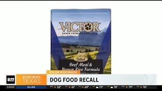 Dog food recall [upl. by Dnalro]