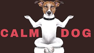 Sound To Calm Dogs Within 5 Minutes  Dog Hypnosis [upl. by Romalda]