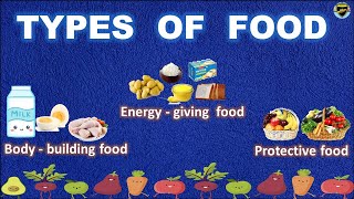 Different Types of Food  Good Eating Habits  Types of Food [upl. by Llebyram974]