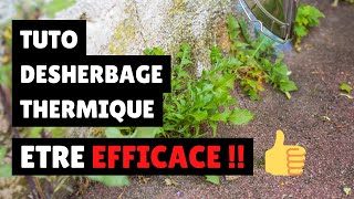 TUTO  être EFFICACE en désherbage thermique [upl. by Criswell961]