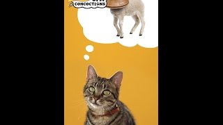 Cat Concoctions® Wet Cat Food  Friskies® Commercial 30 [upl. by Aridni]