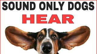 Sound Only Dogs Can Hear And Love [upl. by Sean]