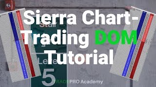 Sierra ChartHow to use the Trading DOM [upl. by Birck]