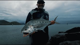 Yorkeys Knob Marina Queenfish [upl. by Alexei598]