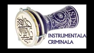 Instrumentala Criminala 2019 Tarabana Super Hit [upl. by Territus]