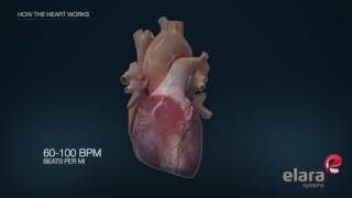 Open Heart Surgery What to Expect English CC [upl. by Anaoj]