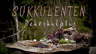 Natürliche DEKO Skulpturen DIY mit Sukkulenten [upl. by Lenrad]