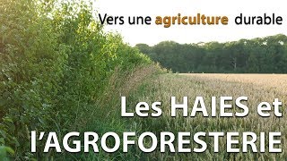 Haies et agroforesterie  Une vidéo de la FUGEA [upl. by Iroc888]