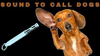 Sound To Call Dogs [upl. by Bozovich]