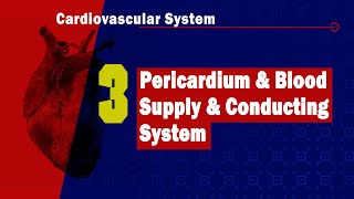 Rhythmical Excitation of Heart  Medical Physiology Lecture  Doctors VLearning Platform [upl. by Ahsatam]