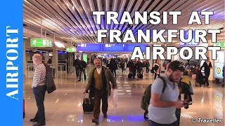 TRANSIT WALK AT FRANKFURT Airport FRA Terminal 1  Connection Flight Transfer Arriving amp Departing [upl. by Briano937]