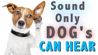 Sound Dogs Can Only Hear  HQ [upl. by Tierell]